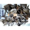 Natural Oudh Chips/Agarwood chips Supper quality