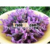 Pure Lavender oil Natural For Skin Care