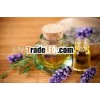 Lavender Oil (Lavandula angustifolia) Fresh & Pure
