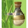 Calamus Oil/Tea Tree oil/Basil oil/Bergamot oil/betel leaf oil/Rose Geranium oil