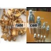 Angelica Root absolute Oil/Orris absolute oil/Rose absolute oil/Jasmine absolute/ Green Tea absolute