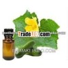 100% Pure & Natural Cucumber Seed Essential Oil suppliers