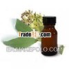 Myrtle Oil Pure GMP/ ISO