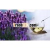 Lavender Essential Oil For Skin Care / Lavender Flower Essential Oil