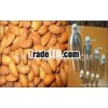 Pure Herbal Sweet Almond Oil