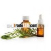 Rosemary Oil For Aromatherapy