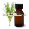 Pine Needle Oil For Aromatherapy