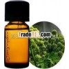 Angelica Root Essential Oil / Angelica Archangelica Root Essential Oil