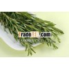 Rosemary Oil pure