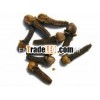 Clove Oil (99% Eugenol)
