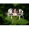 STYRAX TONKINESIS OIL