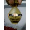 Natural Agarwood oil India/Old Agarwood oil
