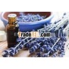 Pure Lavender Essential Oil For Cosmetics