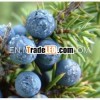 Juniper Berry Oil 100% Pure and Natural From India