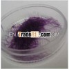 Rainbow7 Colored Eyelash