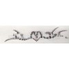 Temporary Body Art
