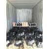 USED ENGINES TOYOTA HONDA MITSUBISHI LEXUS