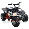 High Quality Electric ATV 450W
