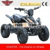 350W,  500W,  800W Elecctric Mini Quad (ATV-6E)