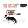 SIF6 CBH-G168 Pet GPS Tracker