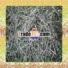 hot dipped galvanized lost head nails