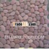 BROWN PEBBLE MOSAIC