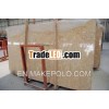 SHELL REEF GOLD Limestone Marble Slab