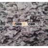 White Golden Diamond of Platinum Granite
