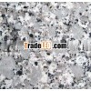 NEW GRANITE Bala White Granite Stone