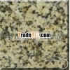 Chryanthemum Yellow Granite