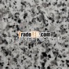 G640 Big Slabs and Granite Gangsaw slabs