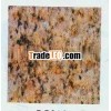 Construction and Accessary--Granite RG019 (2817)