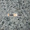 China Gray Sardo G640 granite