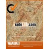 Imported Kashnir Gold Granite
