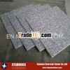 Size 24x24 granite tile