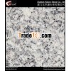 Chinese Granite/ G602 /White Granite/Cheap Granite/Economic Granite