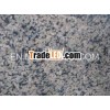 Yellow Pearl Granite Polished slab