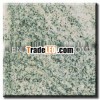 Low Price Beautiful Verde Marina Marble And Granite