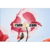 2013 new flower pattern decorative wallpaper for bedroom