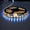 high lumen smd 5050 led strip lighting manufacturer