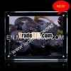 China aliexpress budweiser led neon sign for sale