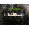 Aluminum Electrolytic Capacitor 4700uF16V YK