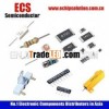 CHIP RESISTOR 0201 -5%  -1%