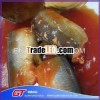 canned food list all types of sardine fishes whith/without scale