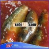 canned sardine fish factory price 425g/155g