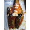 wholesale canned food canned sardine fish in tomato sauce