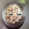 autumn cropping frozen clam