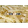 HOT SELLING - DRIED FISH MAW
