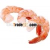 Shrimp
