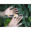 disposable hand gloves cleaning gloves/vinyl gloves /powder free gloves